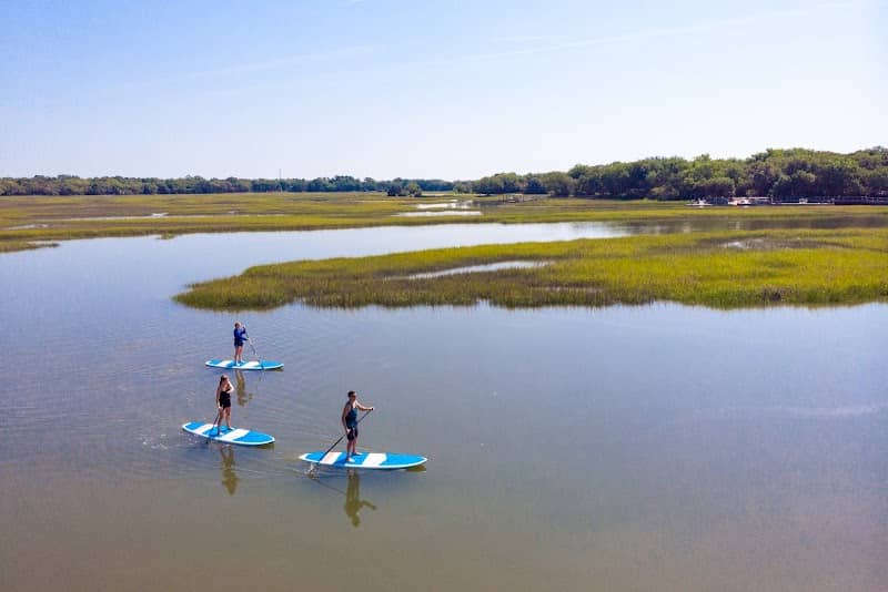 Nature Center - Kayak and Paddleboard Tours - Image 2