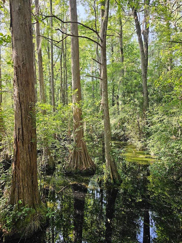 Woods Bay State Park - Image 2