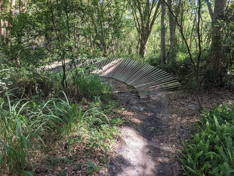 Mount Dora Trail - Image 1