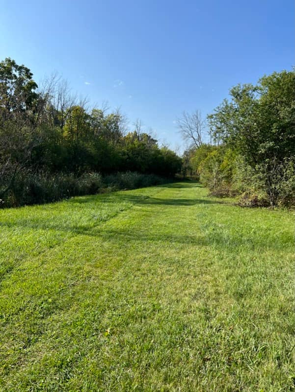 Holt Park - Image 2