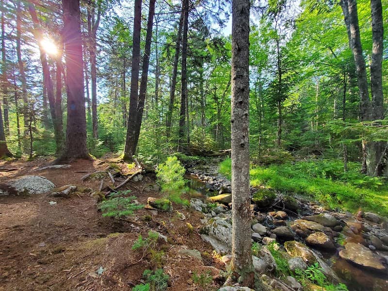 Jordan Homestead Preserve - Image 2