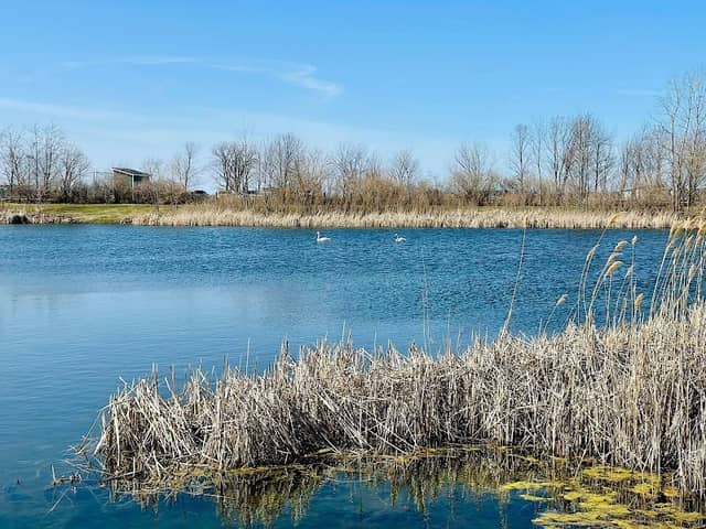 Hidden Pond Park - Image 1