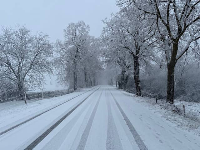 Odenwaldallee - Image 1