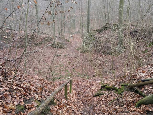 Harlywald - Image 1
