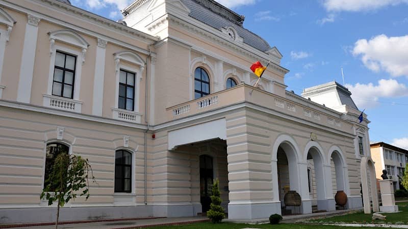 Vasile Parvan Museum Barlad - Image 2