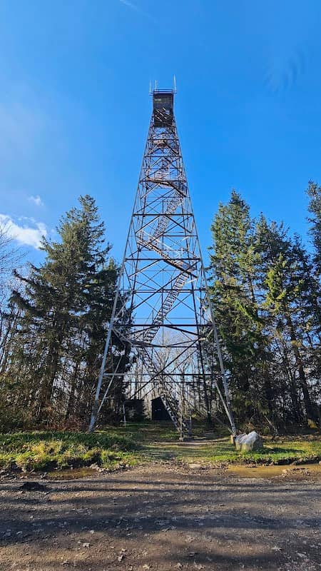 Olson Observation Tower - Image 1