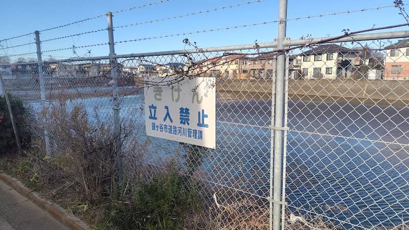 東武団地調整池(野馬の水呑場跡) - Image 1
