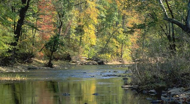 Sideling Hill Creek Yonker Tract - Image 1