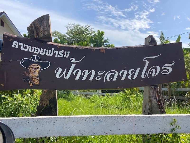 คาวบอยฟาร์ม ฟ้าทะลายโจร (อาจารย์ภักดี แรกวาที) - Image 1