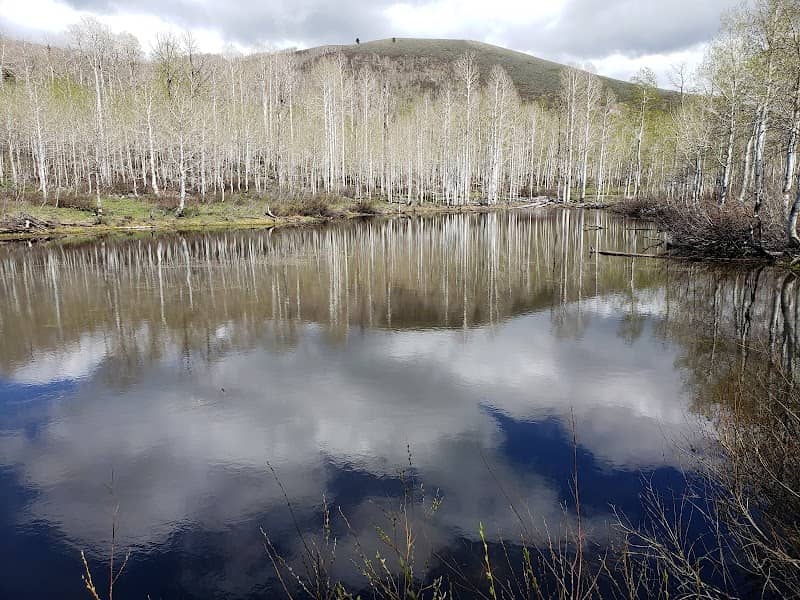 Lake Bello - Image 2
