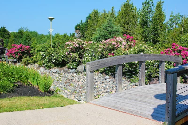 Arts and Culture Park - Image 1