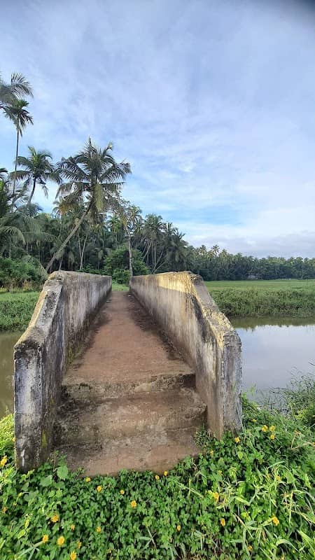 Thiruthikkad Bund - Image 2