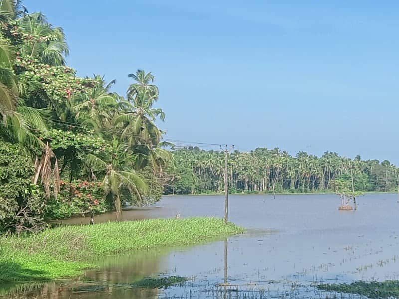 Thiruthikkad Bund - Image 1