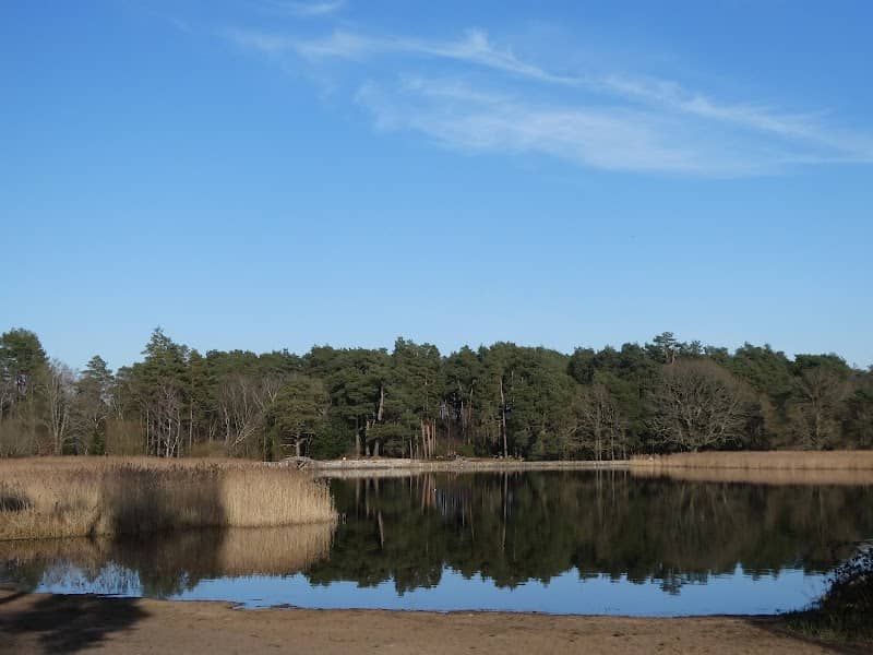 National Trust - Frensham Little Pond - Image 1