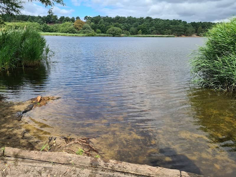National Trust - Frensham Little Pond - Image 2