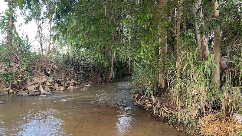 Induvalu forest area - Image 1