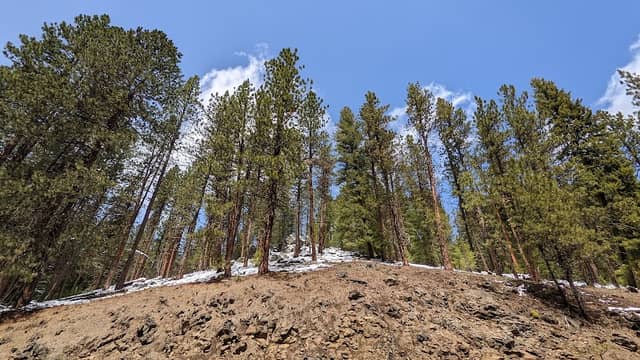 Blue Mountain Forest State Scenic Corridor - Image 2