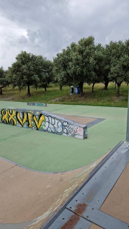 Skatepark XXV-IV - Image 1