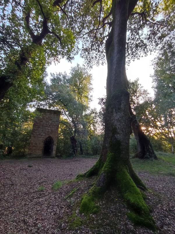 Bosco sacro di Sutri - Image 1