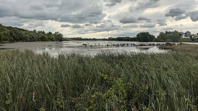 Garlock Slough Wildlife Management Area - Image 2