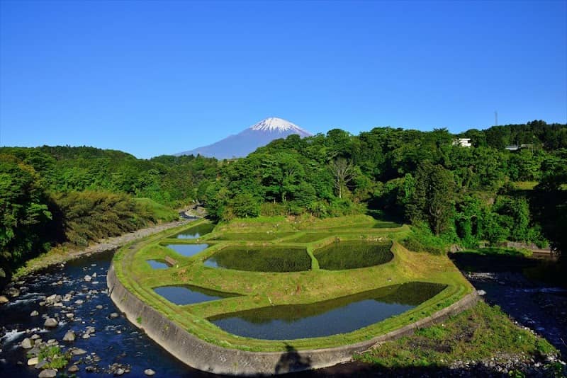 Takenoshita Rice Terraces - Image 1