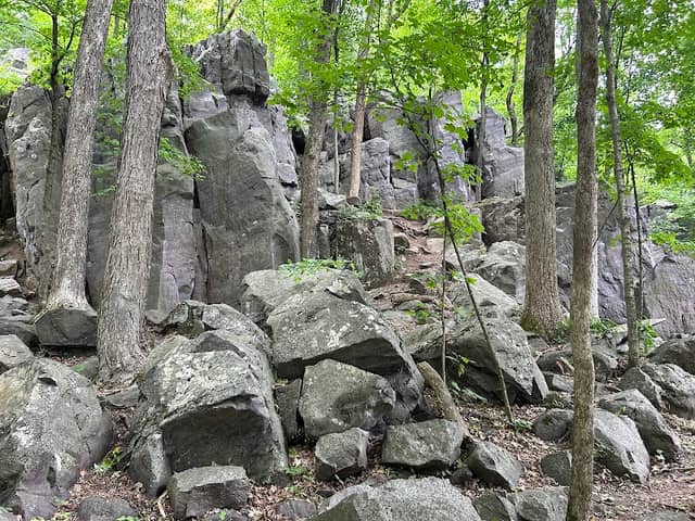 West Bluff Trailhead - Image 1
