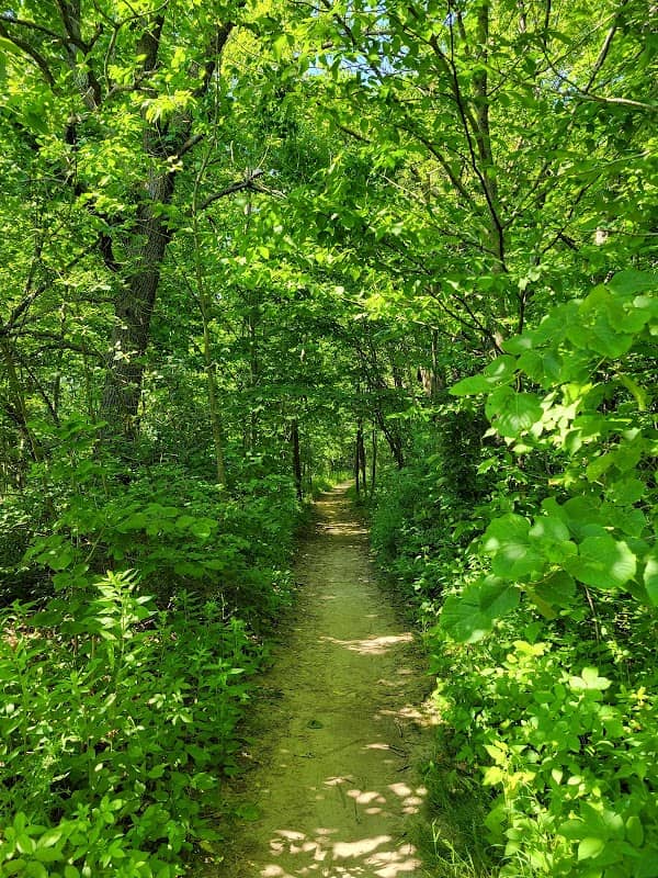 Warnimont Park - Image 2