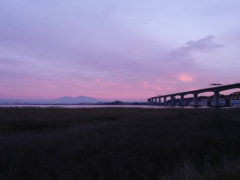 Marsh Observation Area Trailhead - Image 1