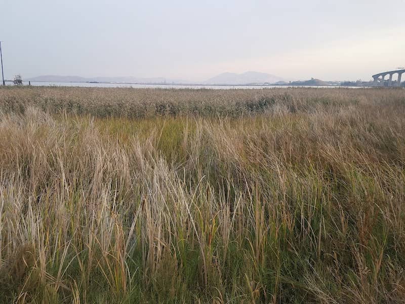 Marsh Observation Area Trailhead - Image 3