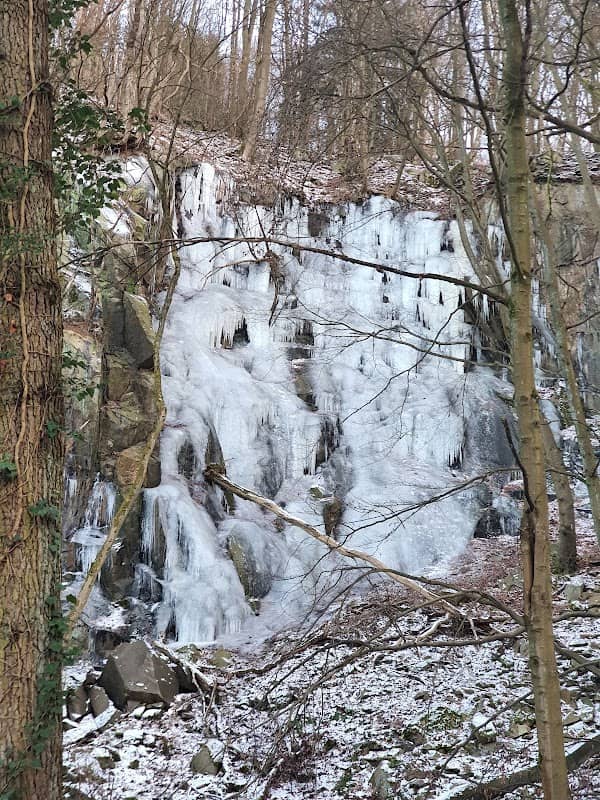 Erlengrund - Image 2