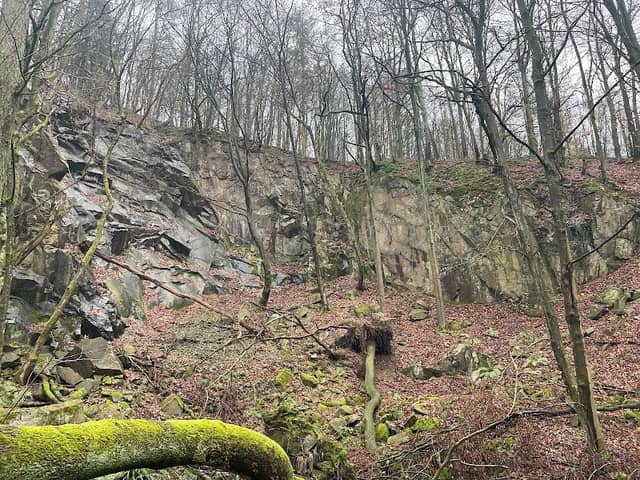 Erlengrund - Image 1