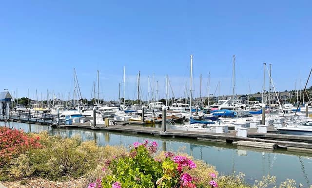Turnbull Park - Image 1