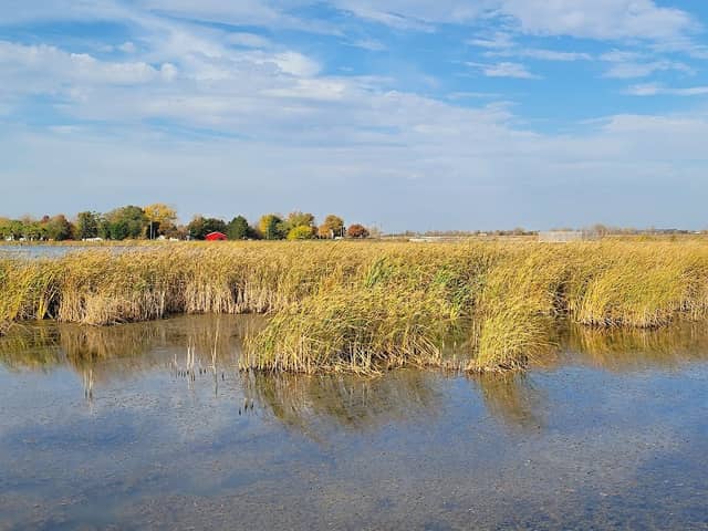 Howard Marsh Metropark - Image 3