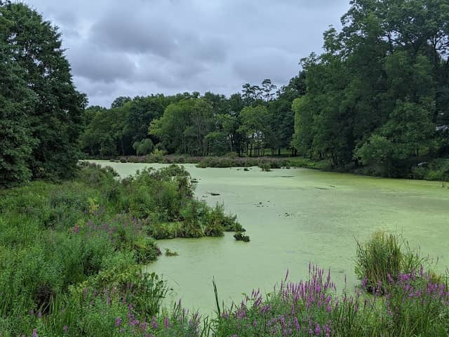Nyquist-Harcourt Wildlife Sanctuary - Image 3