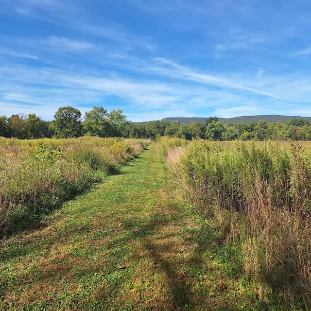 Nyquist-Harcourt Wildlife Sanctuary - Image 1
