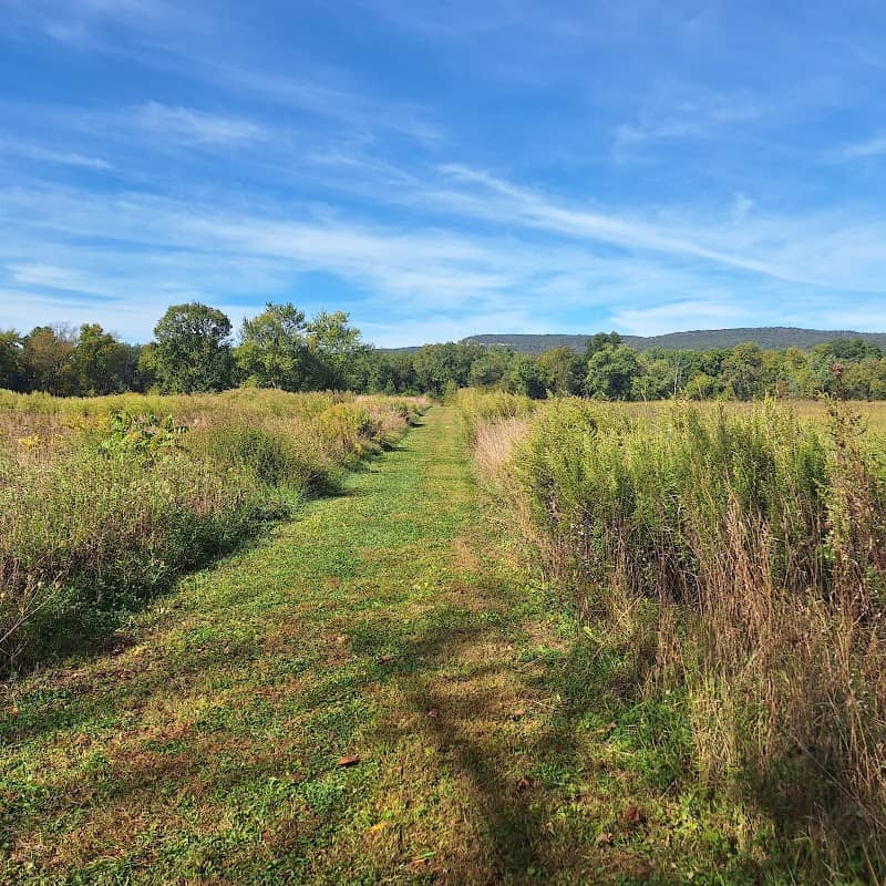 Nyquist-Harcourt Wildlife Sanctuary - Image 1