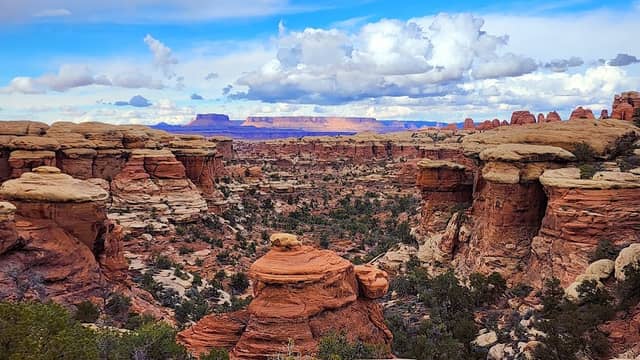 Needles District Canyonlands - Image 2