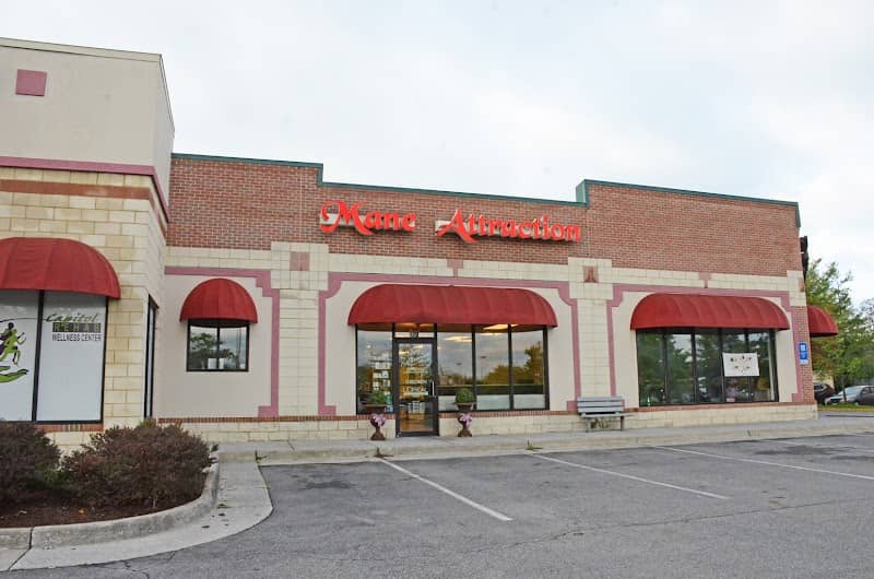 Mane Attraction Salon & Wellness Spa - Image 1