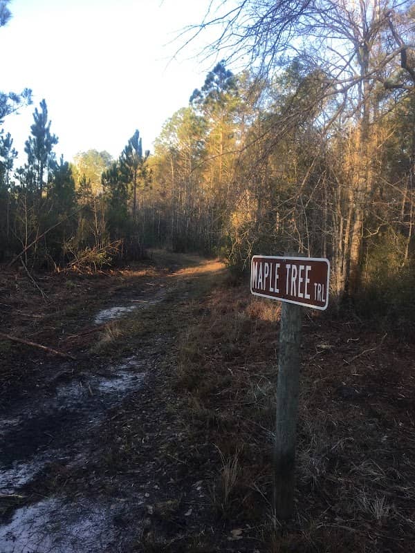 St. Marys Shoals Park - Image 2