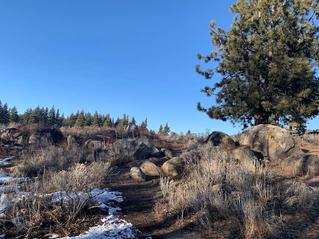 Trout Creek - Image 2