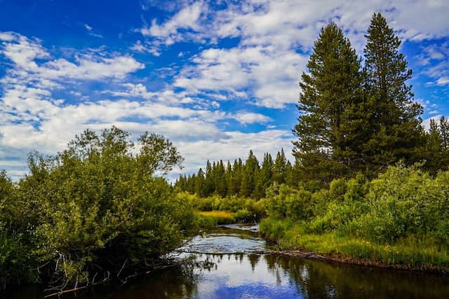 Trout Creek - Image 1