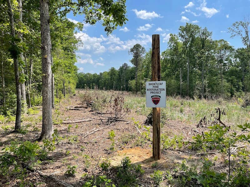 Mattaponi Bluffs Wildlife Management Area - Image 2