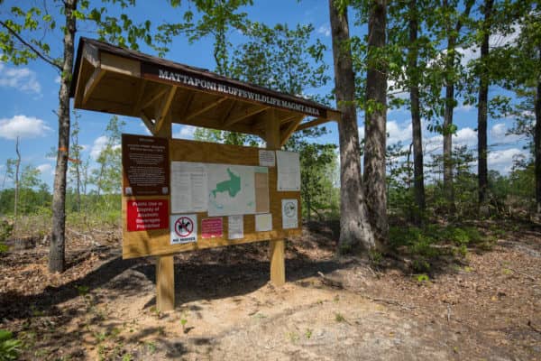 Mattaponi Bluffs Wildlife Management Area - Image 1