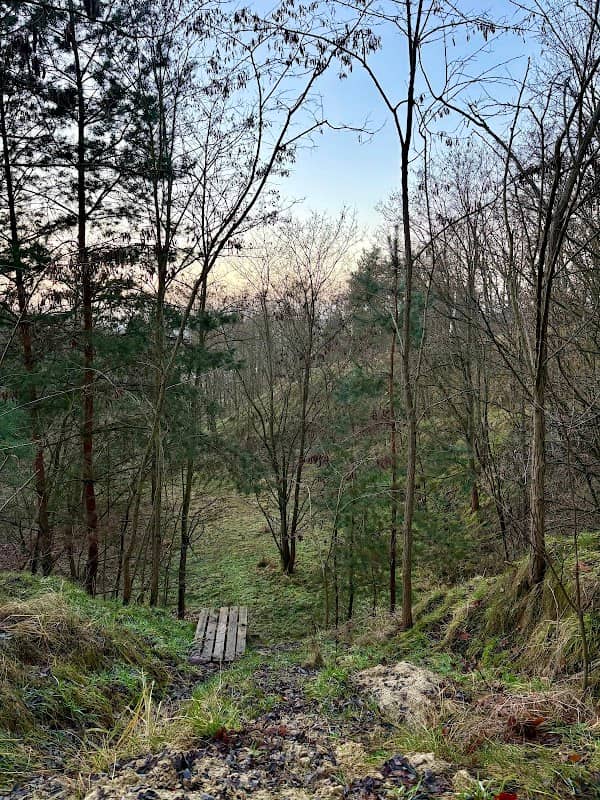 Góra Mystka, dawniej Mauseberg - Image 1