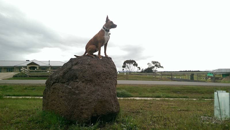 Bannockburn Public Purposes Reserve - Image 1