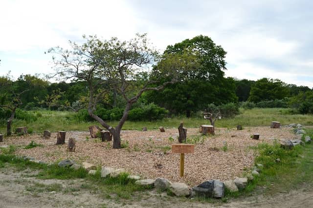 Magic Meadows - Image 2