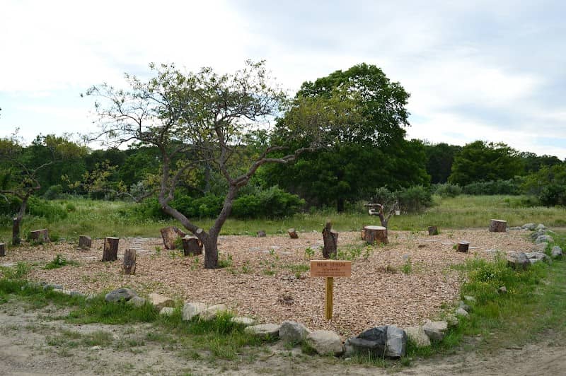Magic Meadows - Image 2