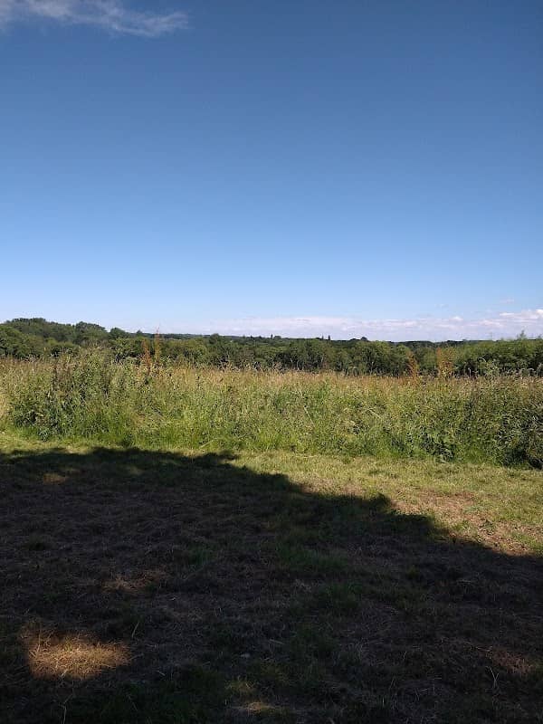 Allbrook Meadow - Image 1