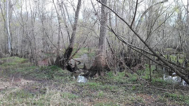 Mayhaw WMA - Image 1