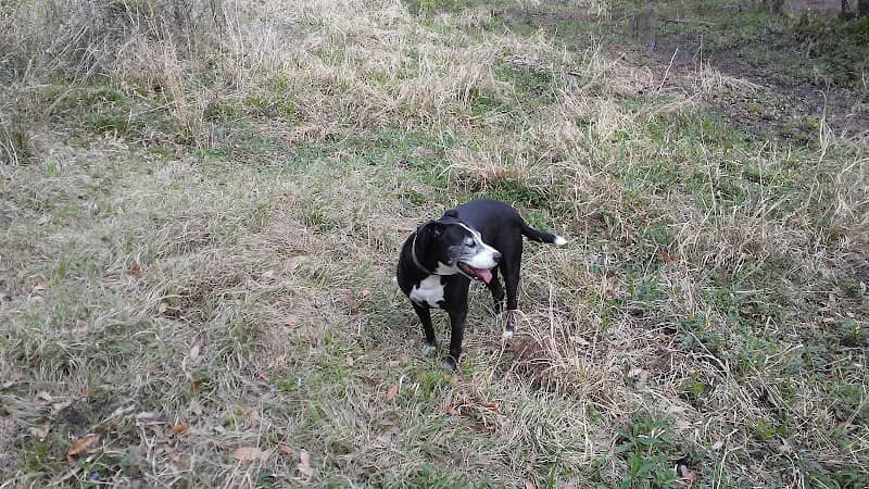 Mayhaw WMA - Image 2